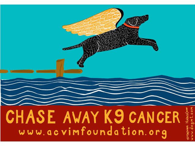 Chase Away K9 Cancer