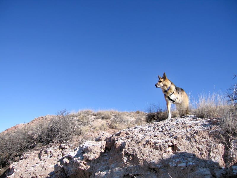 Standing watch at Bottomless Lakes NM State Park
