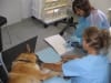 Chemotherapy in Israel for Star
