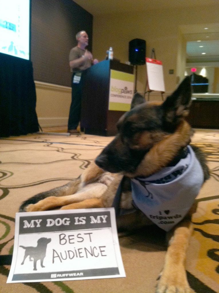 My Dog Is My Best Audience