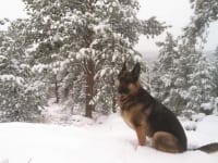 Wyatt in the Snow