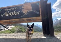 Wyatt at the Alaska Border