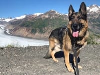 Wyatt at Salmon Glacier Summit