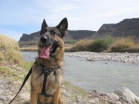 Wyatt watches Mexican Border on Rio Grande