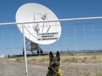 Wyatt at the Very Large Array, New Mexico