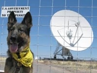 Wyatt at the Very Large Array, New Mexico