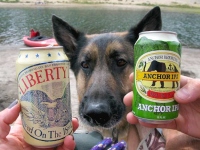 Which Beer does Wyatt want? Neither, he wants to swim!