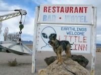 Wyatt watches out for for ET in Rachel, NV