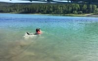 Wyatt swims in the Yukon River