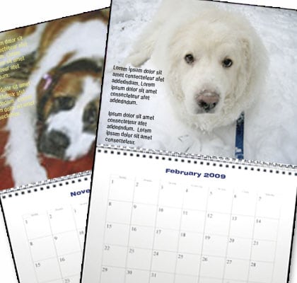 2Dogs2000Miles 2009 Canine Cancer Calendar