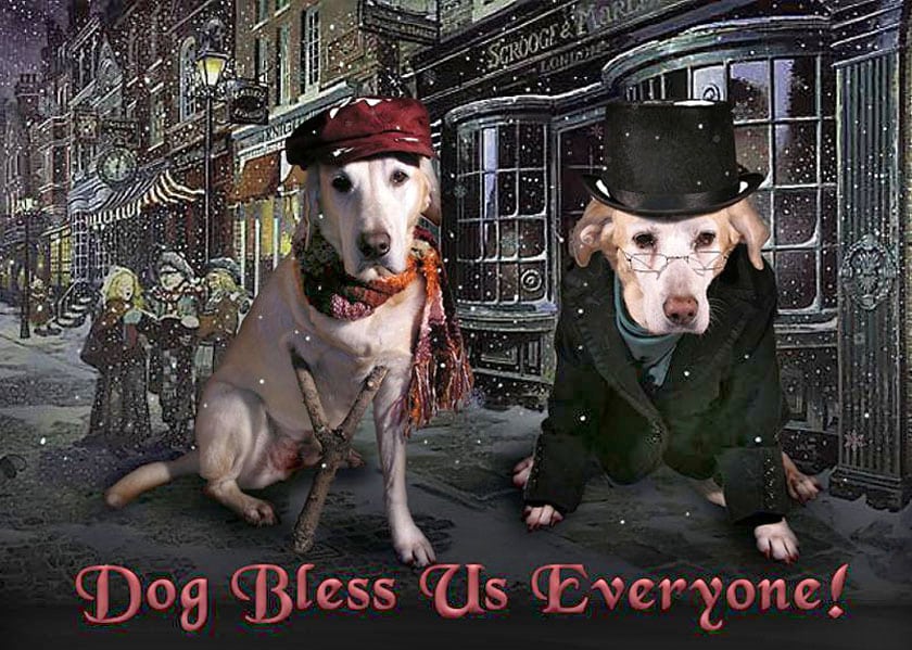 dog bless us
