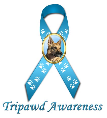 tripawd awareness ribbon for three legged dog websites