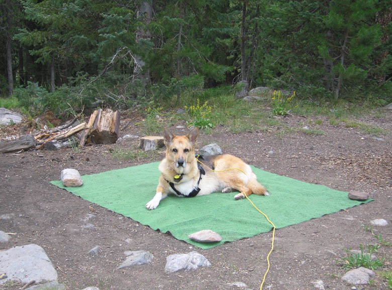 Jerry at Seedhouse Campground, Routt National Forest