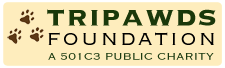 tripawds foundation