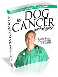 Dr Dressler Dog Cancer Guide