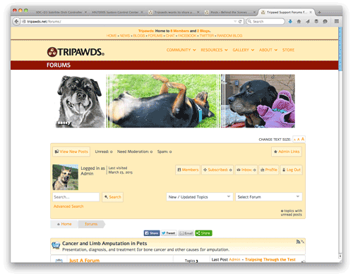 three-legged pets community
