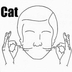 American Sign Language Cat