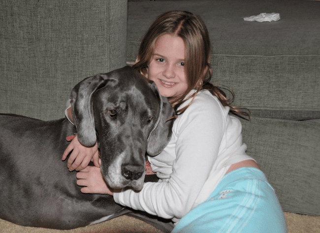 raw dog food nutrition