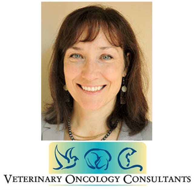Chemotherapy Intervals for Canine Osteosarcoma