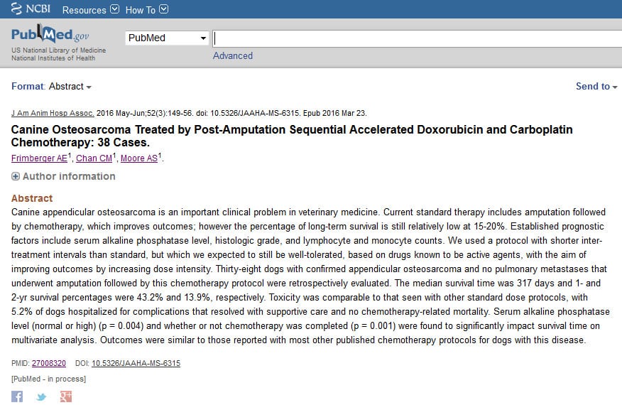 Chemotherapy Intervals for Canine Osteosarcoma