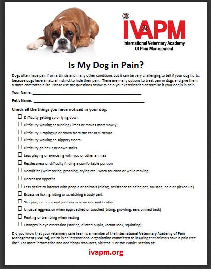 pain signs dogs