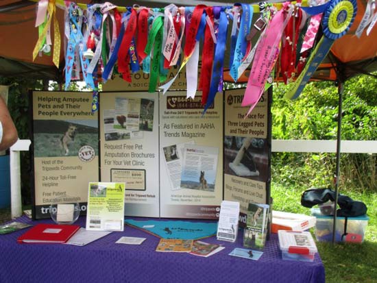 Team Tripawds at Puppy Up Walk Wheaton, IL