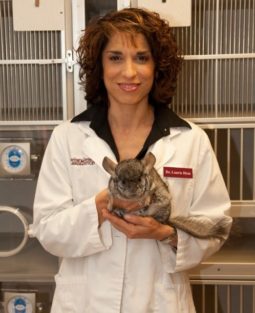 exotic animal tripawds