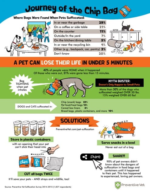 dog health and safety tips