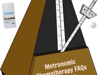 metronomic chemotherapy FAQs for Tripawds