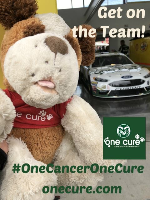#OneCancerOneCure