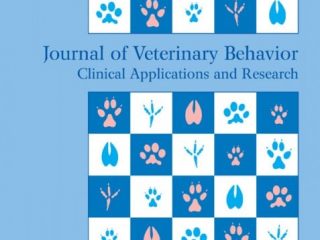 phantom pain in dogs study