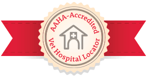 #AAHADay, AAHA-accredited clinics, AAHA-accreditation, AAHA veterinary clinics, quality veterinary care, best vets #AAHADay, AAHA-accredited clinics, AAHA-accreditation, AAHA veterinary clinics, quality veterinary care, best vets
