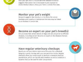 pet cancer checklist
