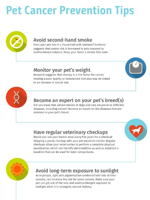 pet cancer checklist