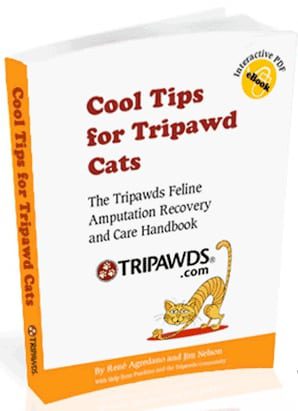Cool Tips for Tripawd Cats book