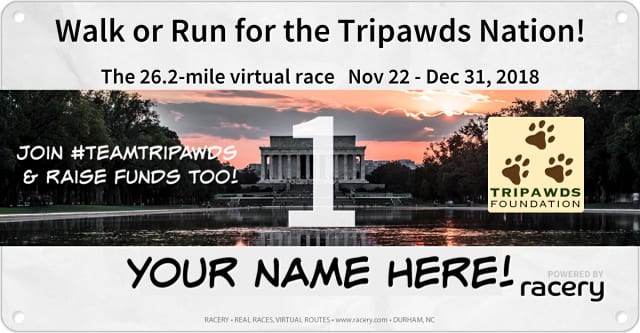 https://tripawds.org/give/ Racery Run for Tripawds Foundation