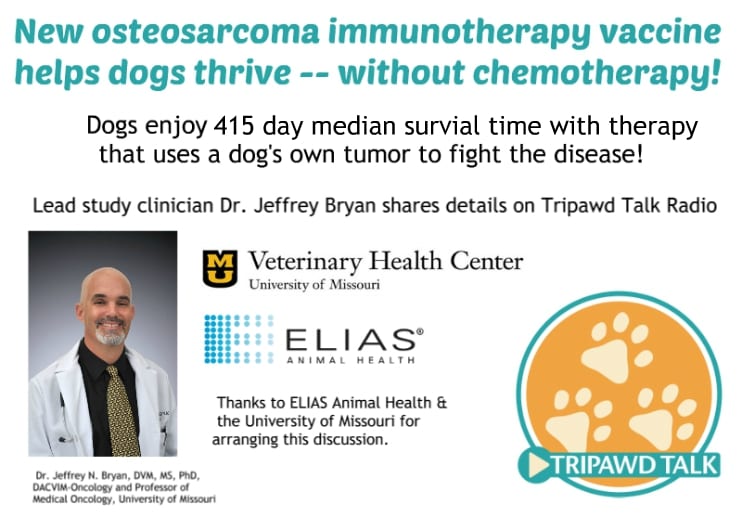 osteosarcoma,dogs,vaccine,immunotherapy,dr. jeffrey bryan, remission,university of missouri,elias animal health,study,clinical trial