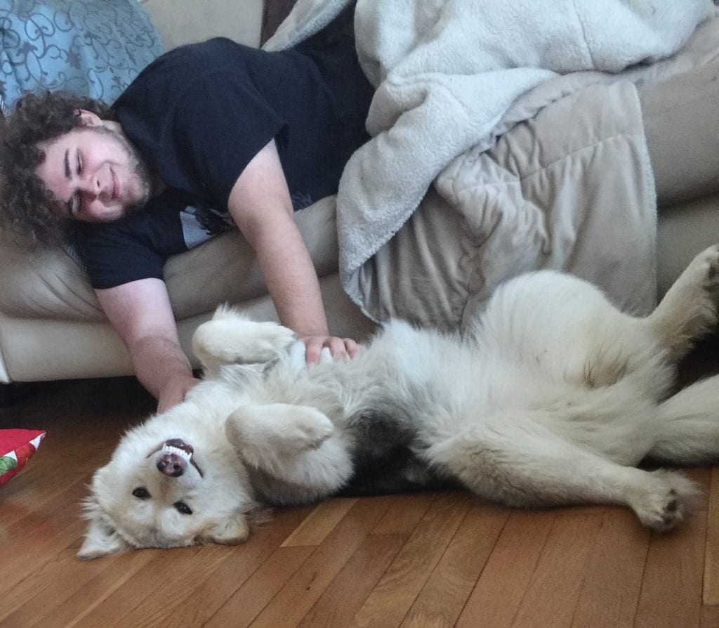 Russia Rescue Dog Dasha