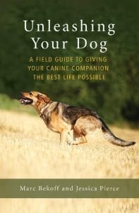 The Field Guide to Unleashing Your Tripawd Dog - Tripawds