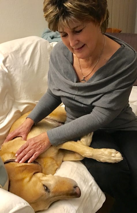 Canine AcuTouch therapy