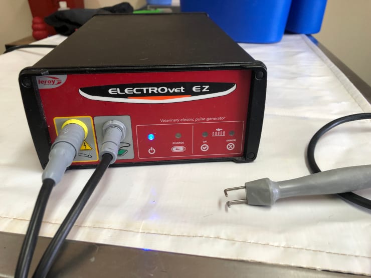 Electrovet EZ Electrochemotherapy Santa Fe New Mexico