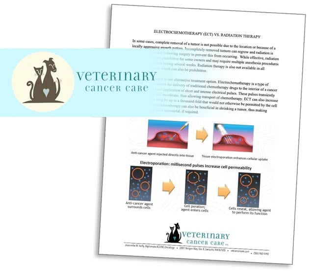 electrochemotherapy pet cancer treatment information