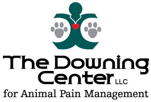 Downing Center for Animal Pain Management
