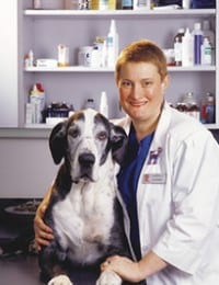 Veterinary pain expert Dr. Robin Downing
