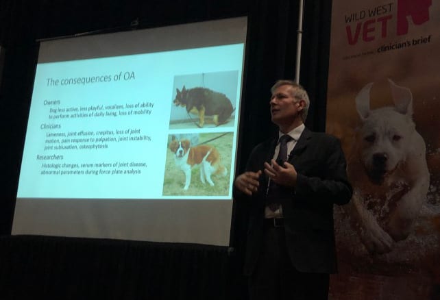 Denis Marcellin-Little DVM osteoarthritis