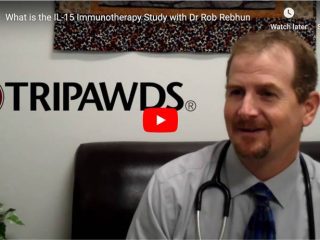 UC Davis Dr. Rob Rebhun interview