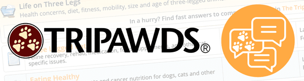 Three legged dog and cat Discussion Forums