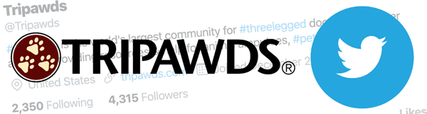 Tripawd dog and cat support community news on Twitter