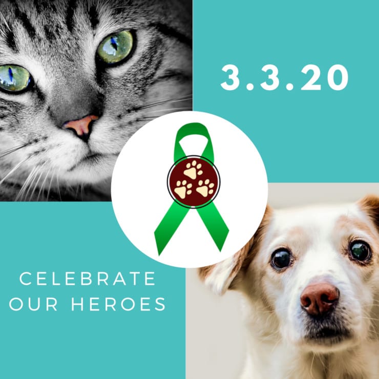 TriDay 2020 Celebrates Amputee Pets