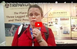 Vet Video